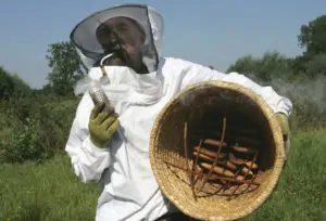artikel stentor imelda bouwt bijenstal raalte noord