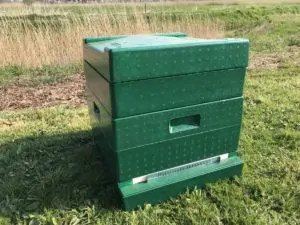 Complete groen geschilderde bijenkast met vlieggatschuif en voerbak