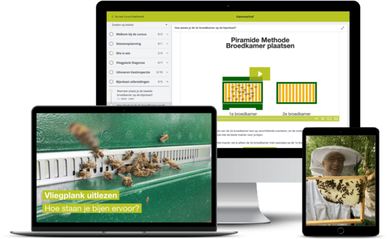 online imker cursus voorbeeld cursusomgeving op computer en tablet