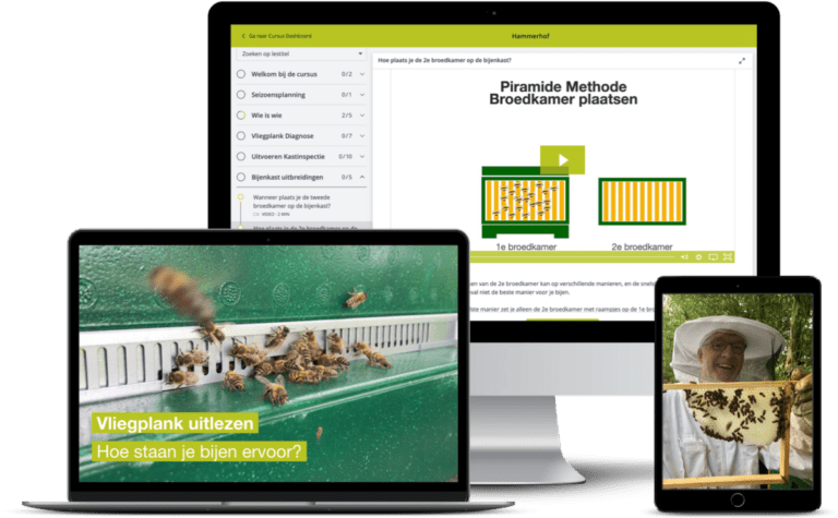 online imker cursus voorbeeld cursusomgeving op computer en tablet