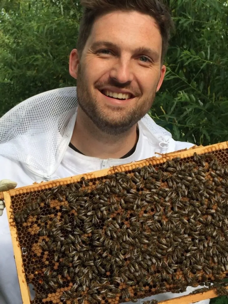 Sil laat een raampje bijen zien zonder kap op
